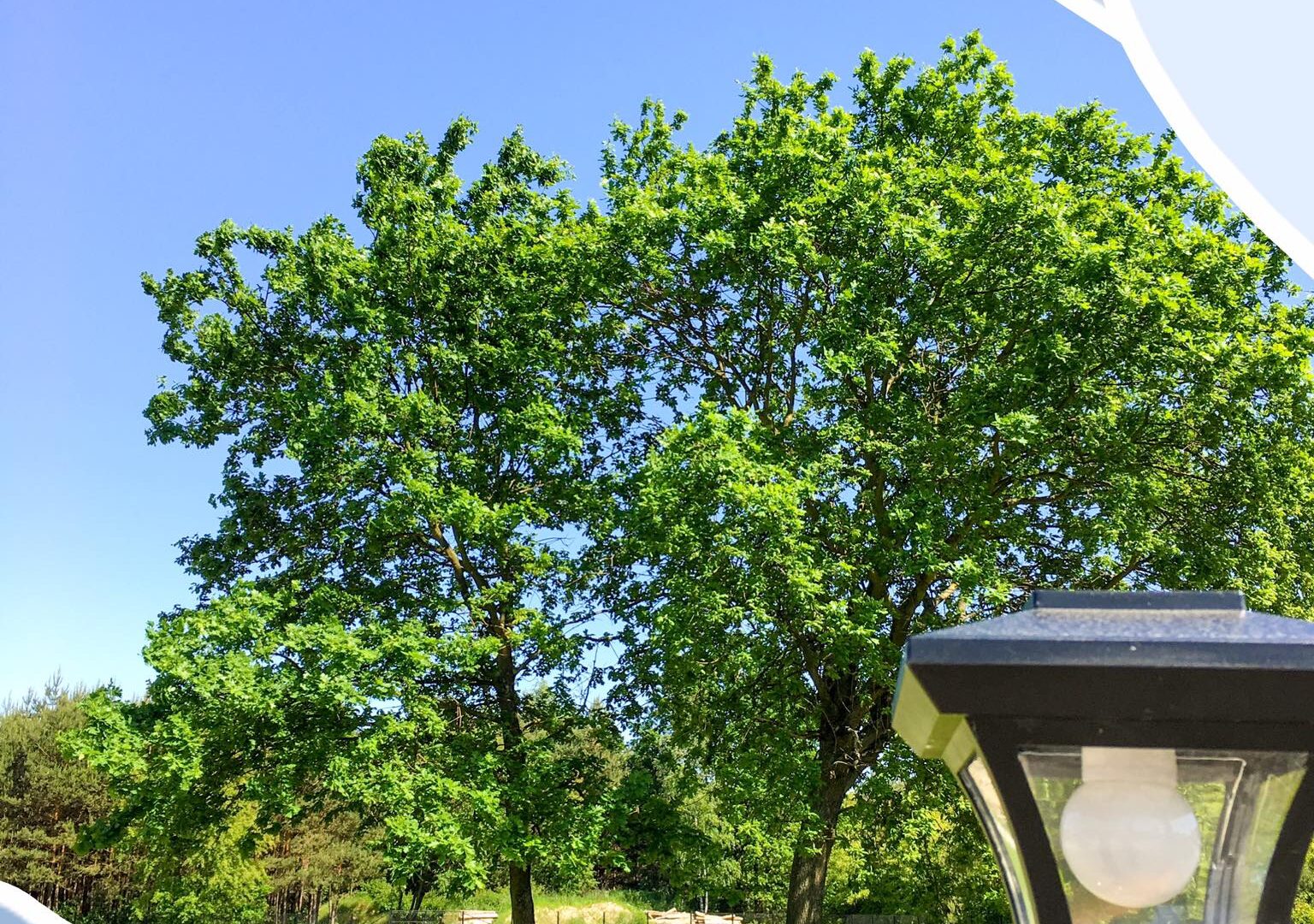 Natura wokół Cabajówki