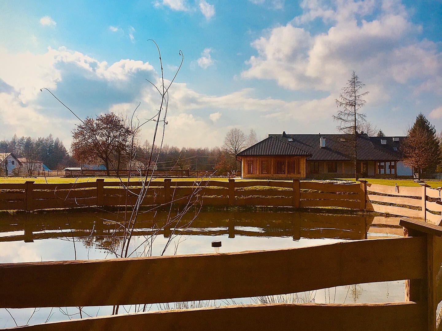 Spacery, długie spacery…